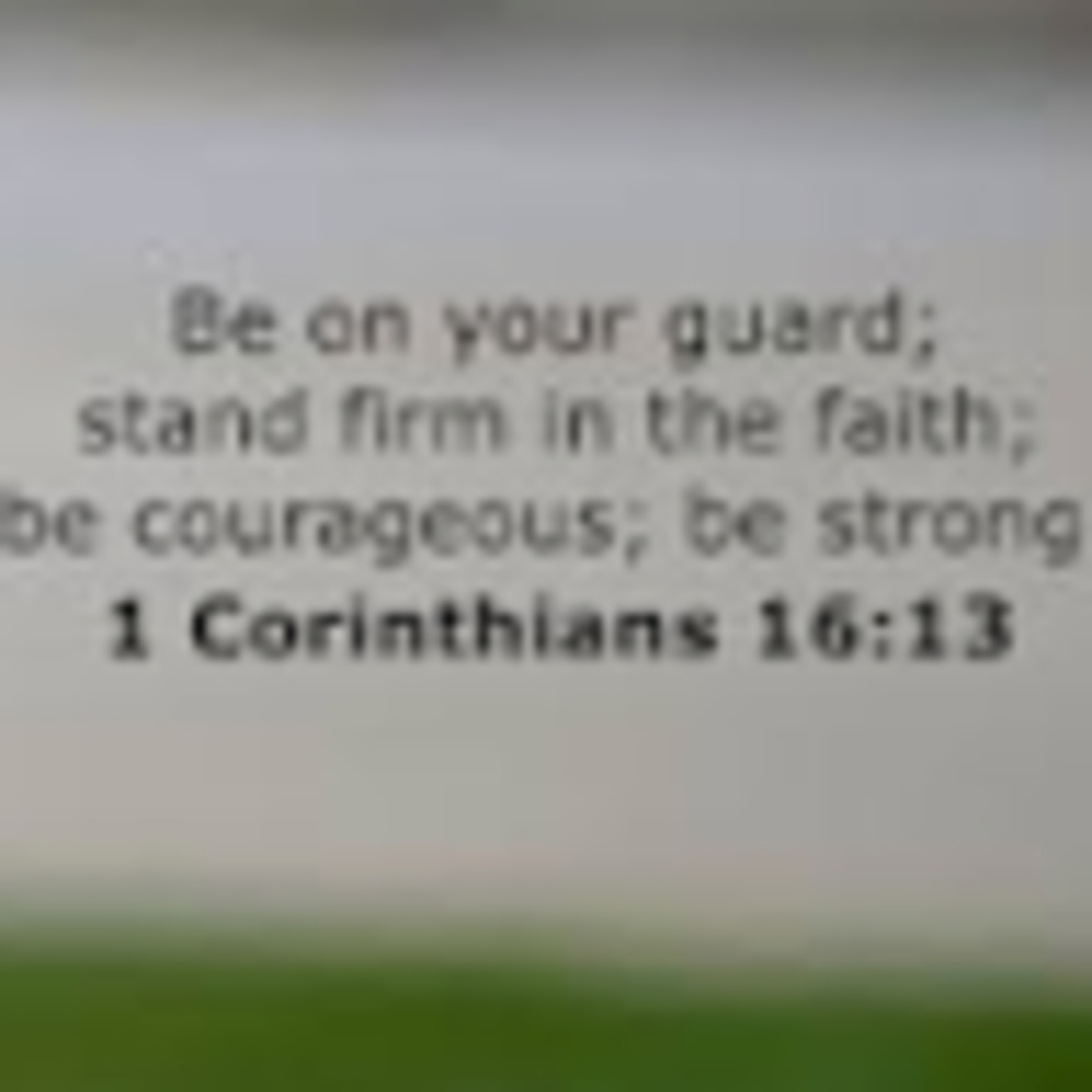 Meet your Posher, Traci